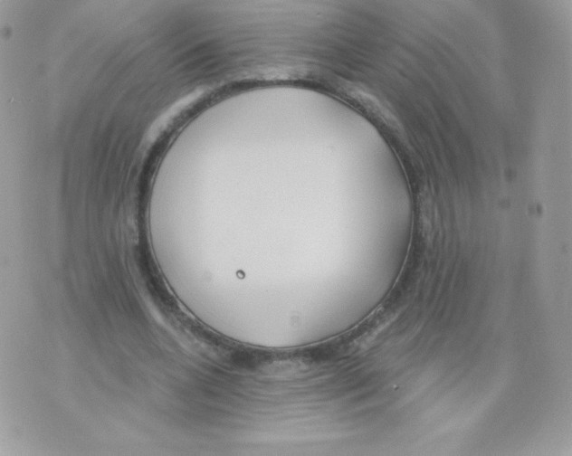 X0000074960536200609291915