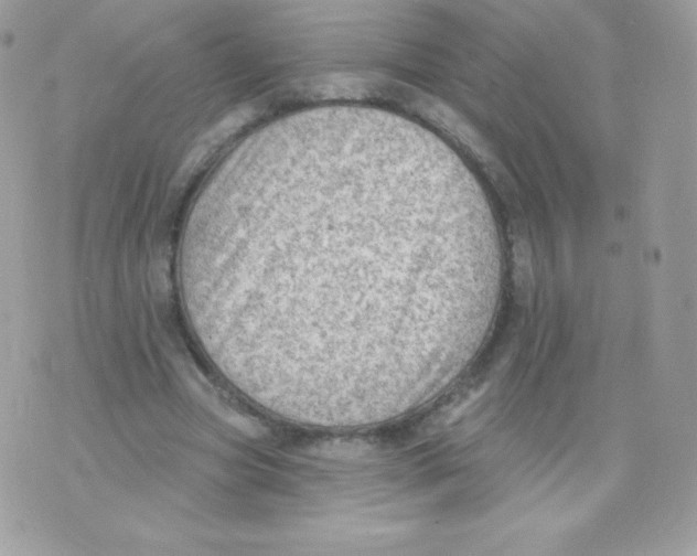 X0000074960537200609291915