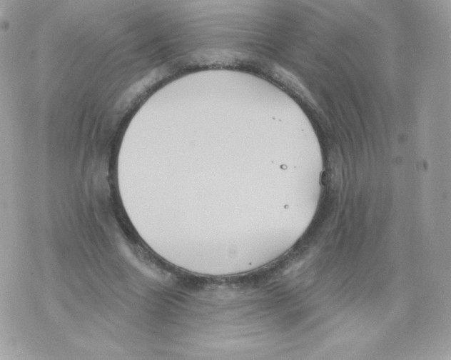 X0000074960538200609291915