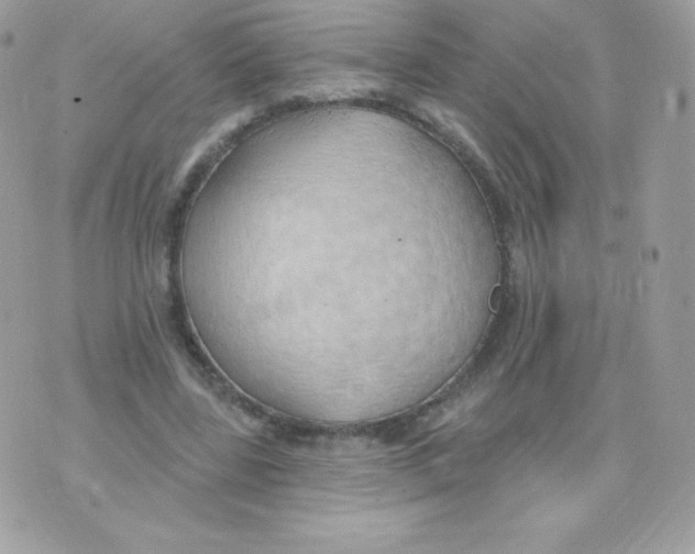 X0000074960539200609291915