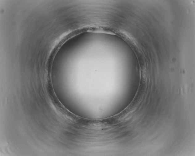 X0000074960540200609291915