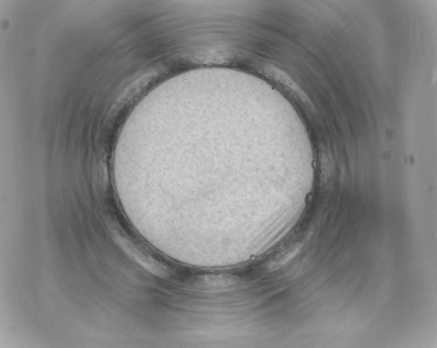 X0000074960541200609291915