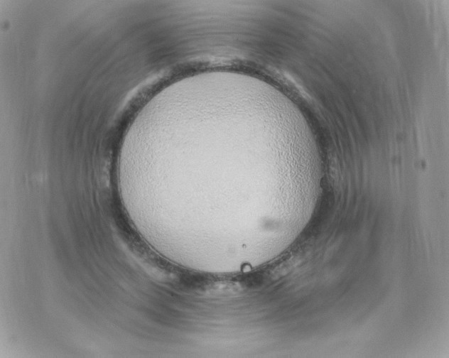 X0000074960543200609291915