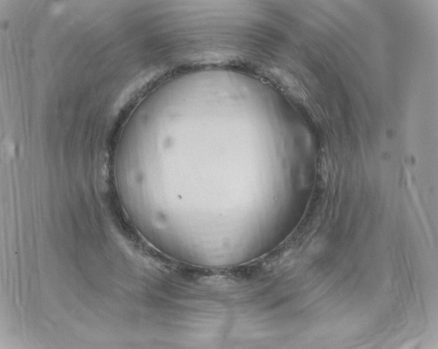 X0000074960544200609291915