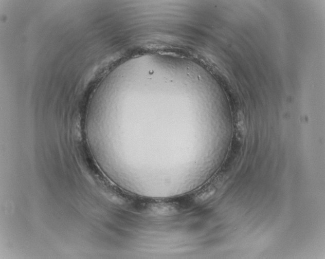 X0000074960547200609291915