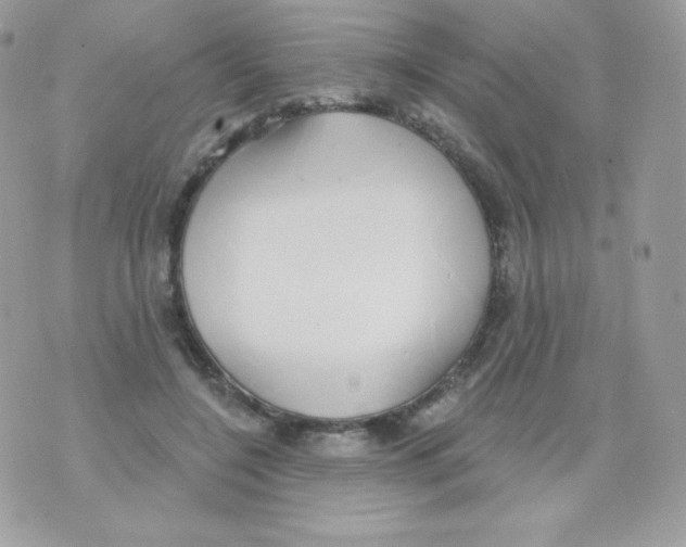 X0000074960548200609291915