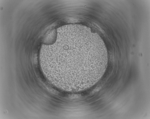 X0000074960549200609291915