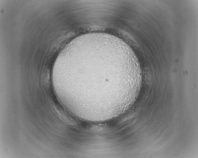 X0000074960550200609291915