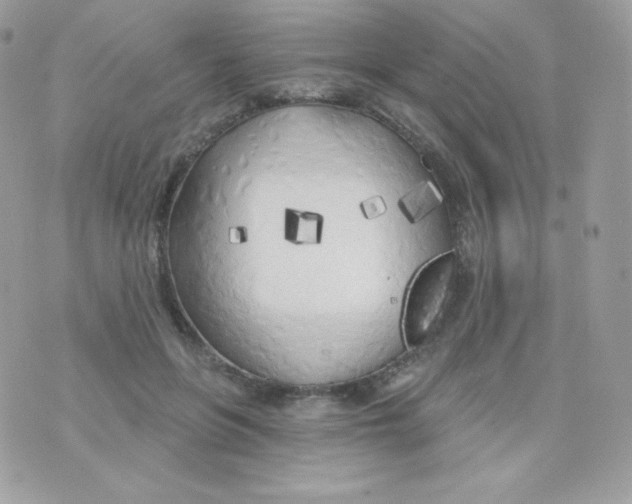 X0000074960551200609291915