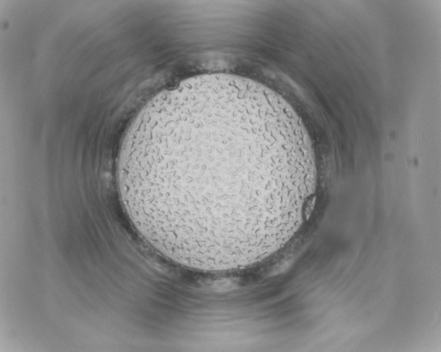 X0000074960553200609291915