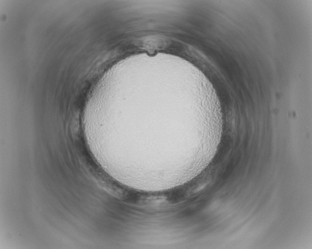 X0000074960554200609291915