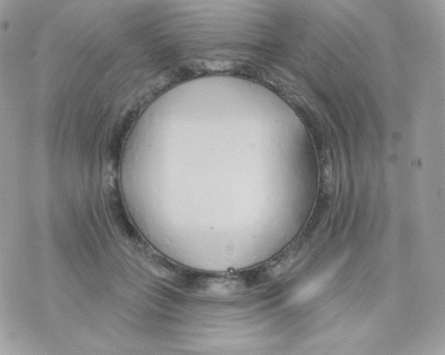 X0000074960555200609291915