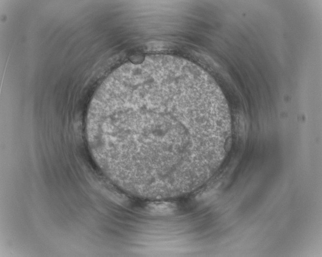 X0000074960557200609291915