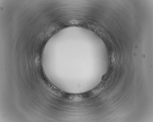 X0000074960559200609291915