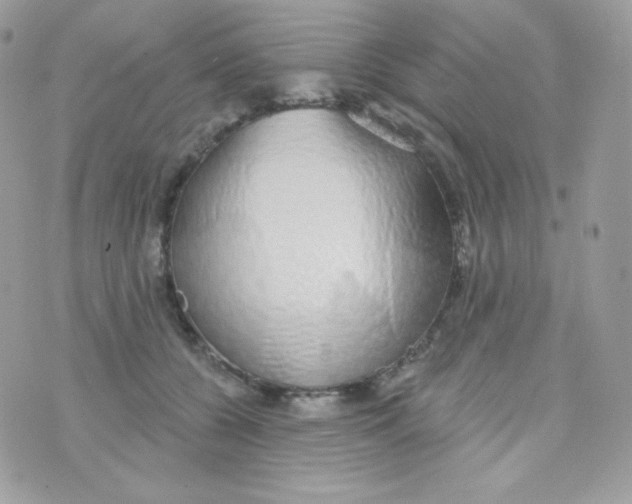 X0000074960560200609291915