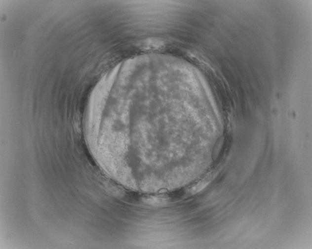 X0000074960561200609291915