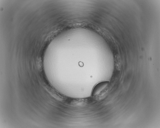 X0000074960563200609291915