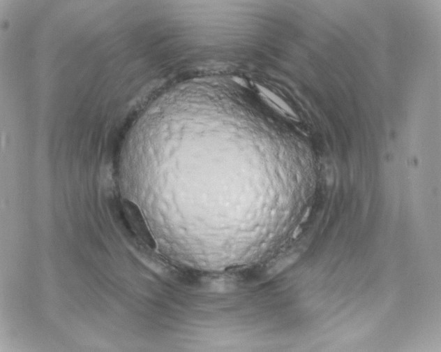 X0000074960564200609291915