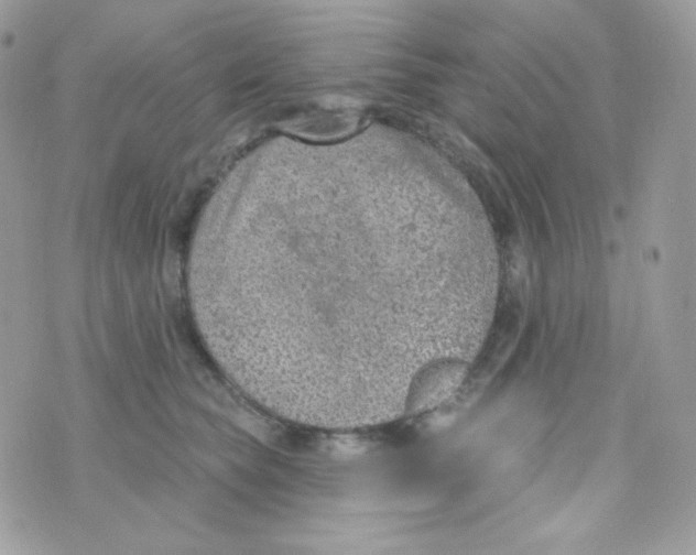 X0000074960565200609291915