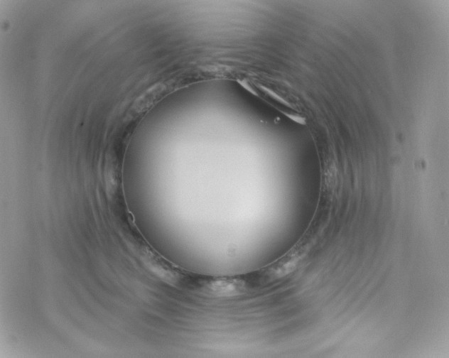 X0000074960566200609291915