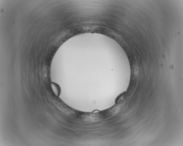 X0000074960567200609291915