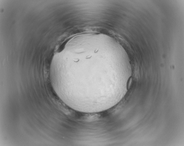 X0000074960569200609291916