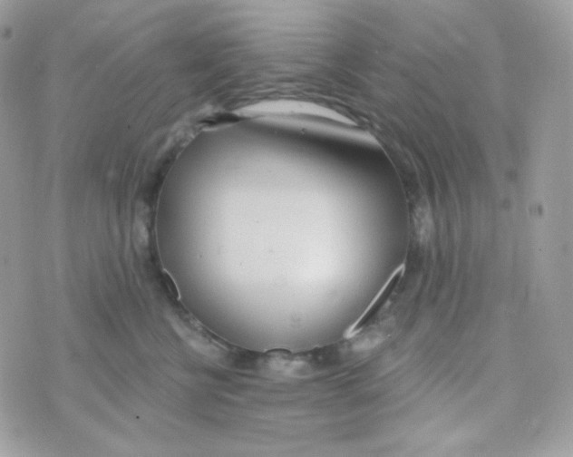 X0000074960570200609291916