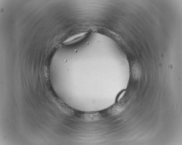 X0000074960571200609291916