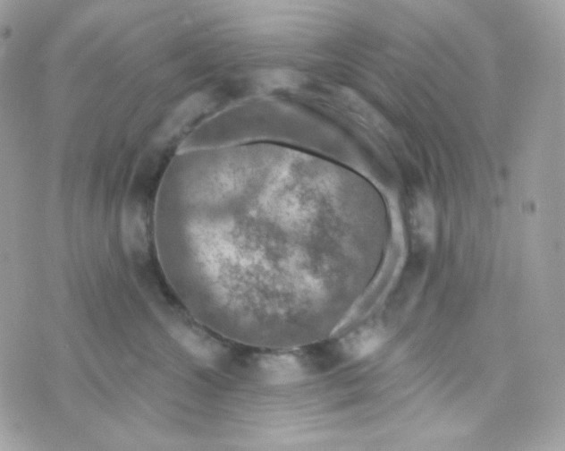 X0000074960572200609291916