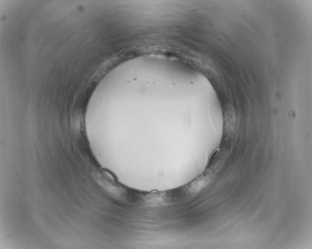 X0000074960574200609291916