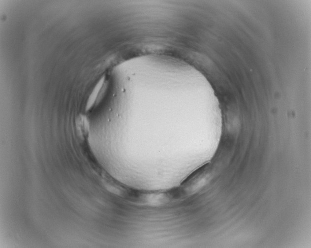 X0000074960575200609291916