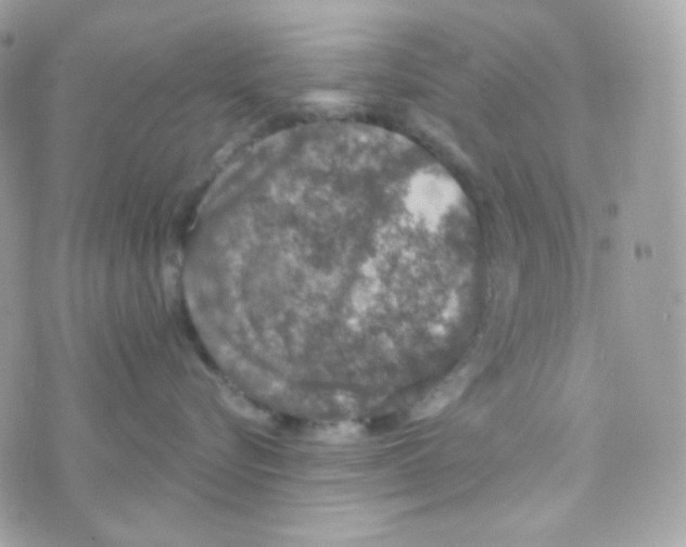 X0000074960576200609291916