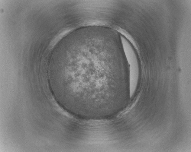 X0000074960577200609291915