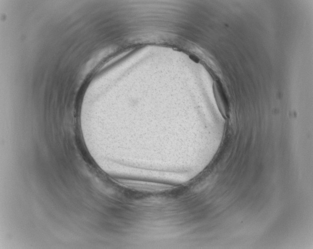 X0000074960578200609291915