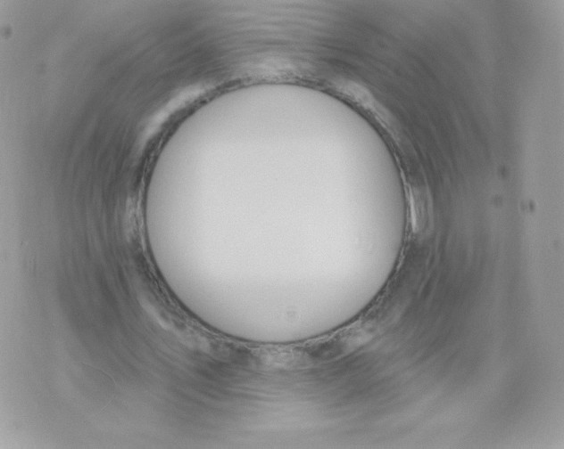 X0000074960579200609291915