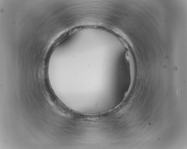 X0000074960580200609291915