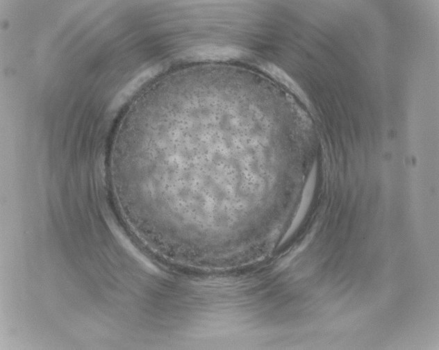 X0000074960581200609291915