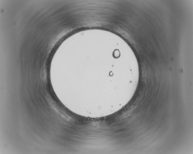 X0000074960584200609291915