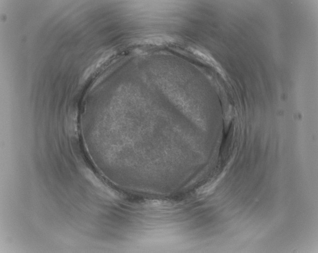 X0000074960585200609291915