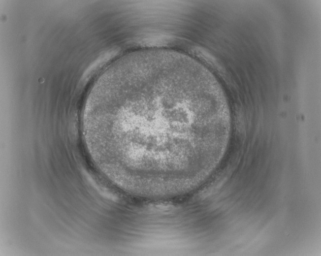 X0000074960586200609291915