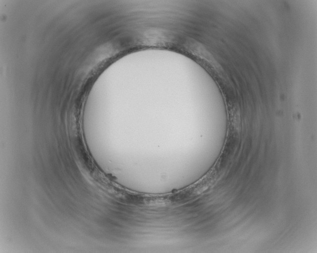 X0000074960587200609291915