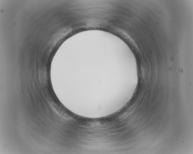 X0000074960588200609291915