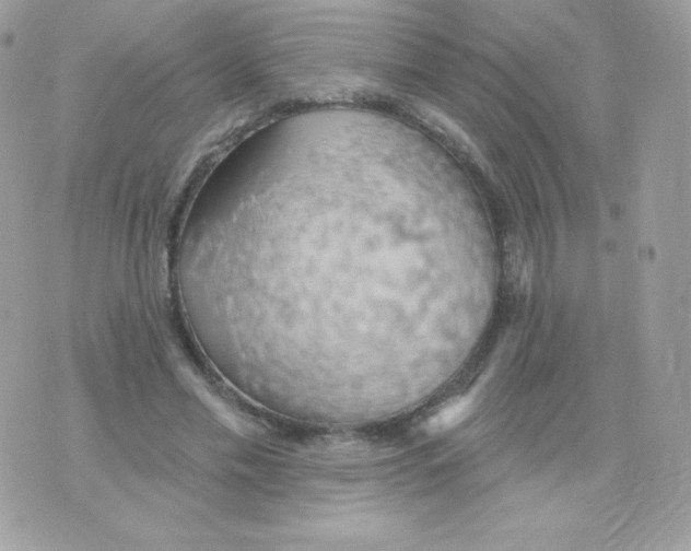 X0000074960589200609291915