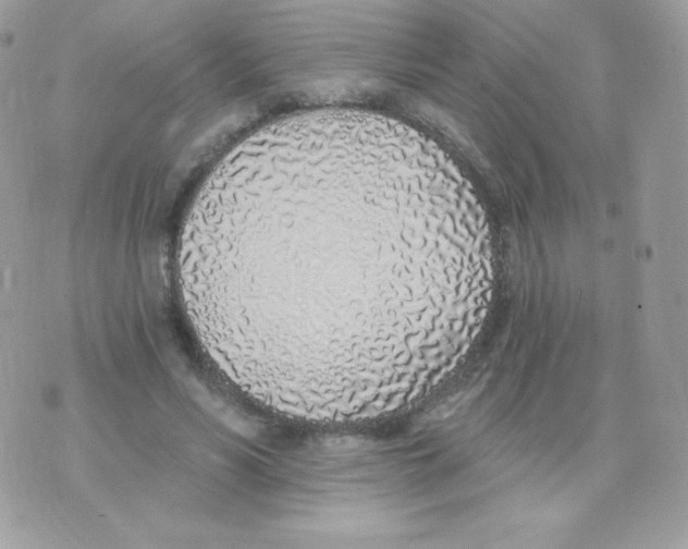 X0000074960590200609291915