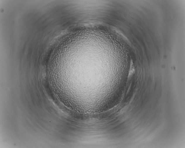 X0000074960593200609291915