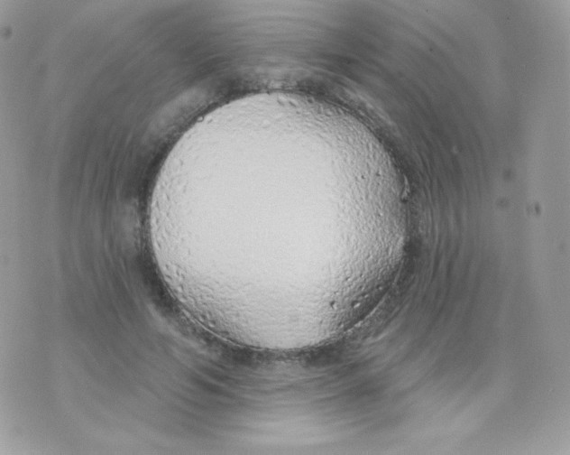 X0000074960594200609291915