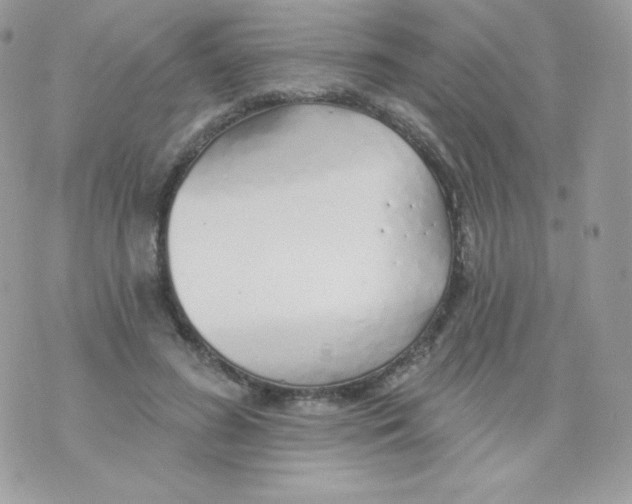 X0000074960596200609291915