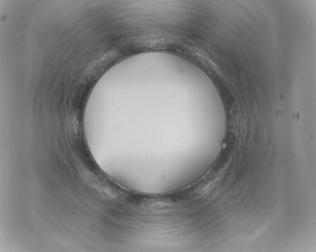 X0000074960597200609291915