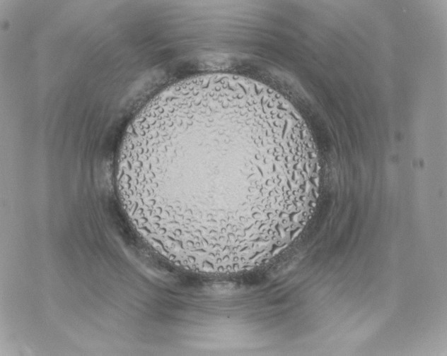 X0000074960598200609291915