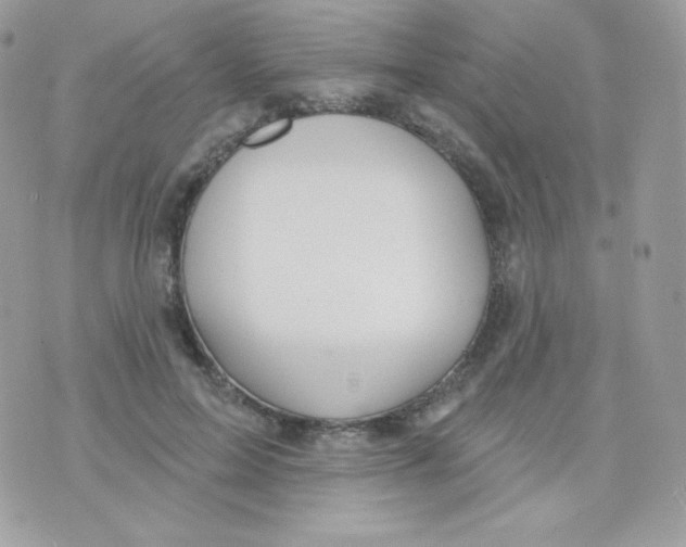 X0000074960599200609291914